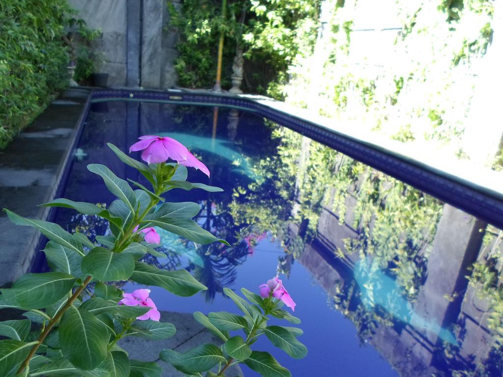 Bali Aman Darling House Hotell Canggu Eksteriør bilde