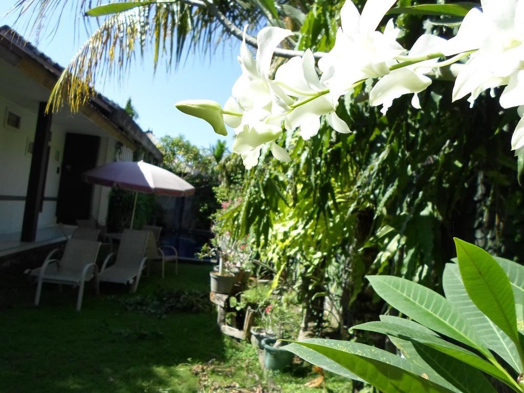 Bali Aman Darling House Hotell Canggu Eksteriør bilde