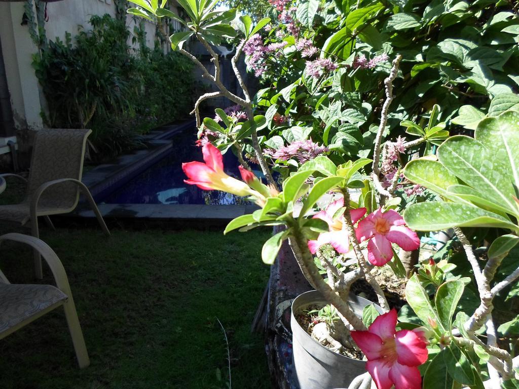 Bali Aman Darling House Hotell Canggu Eksteriør bilde