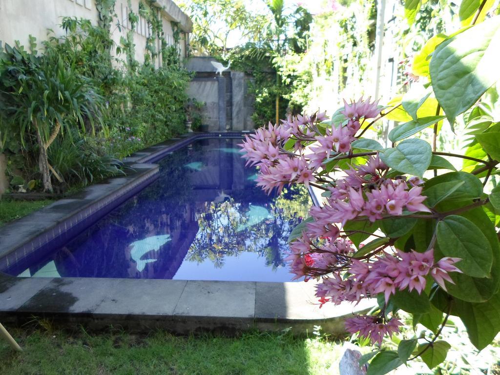 Bali Aman Darling House Hotell Canggu Eksteriør bilde