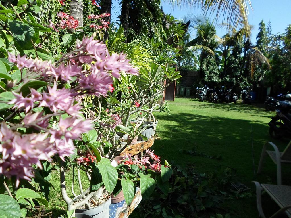 Bali Aman Darling House Hotell Canggu Eksteriør bilde