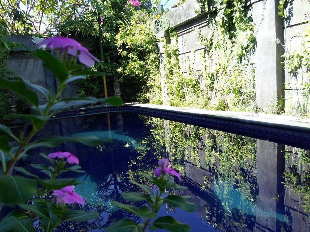 Bali Aman Darling House Hotell Canggu Eksteriør bilde